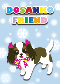RUBY&FRIEND [Cavalier/tricolor] Snow