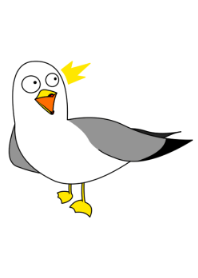 蕪島生まれのウミネコさん8