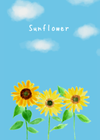 Sunflower Skyblue