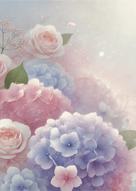 Hydrangea 020