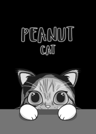 Peanut醬醬貓 黑色關燈版