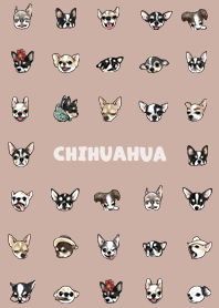 chihuahua2 - nude