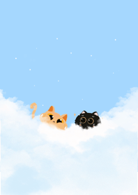 Sky cats :)