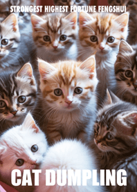 Cat dumpling 18