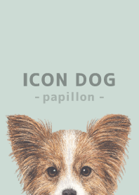ICON DOG - Papillon - PASTEL GR/02