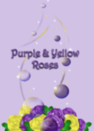 Purple & Yellow Roses JP