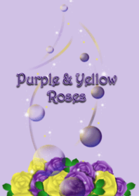 紫と黄色のバラ