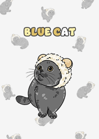 bluecat2 - white smoke