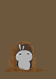 rabbit staring-141