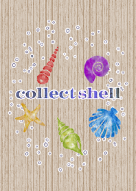 collect shell