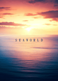 SEA WORLD-Sunset2