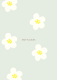 Floral pattern colorful24 from Japan