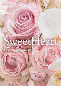 Sweet Heart - Pink Purple Rose -
