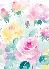 Beautiful rose flower(R4977)