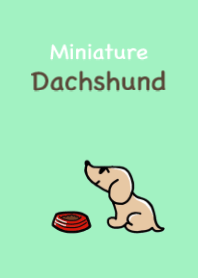 Theme of Miniature Dachshund