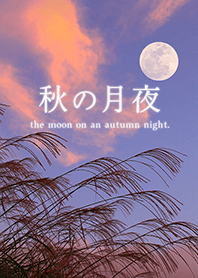 全運気アップ☆秋の月夜