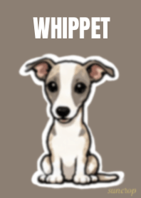 Sweet Whippet Days