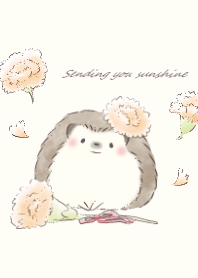 Hedgehog&Carnation:beige