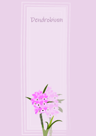 November's birth flower, Dendrobium