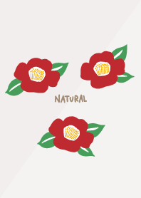 Camellia blooms23 from Japan