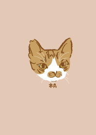 a cat BEN-WAN