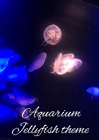 Aquarium Jellyfish.