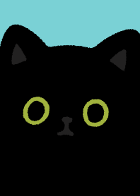 Black cat so black.6