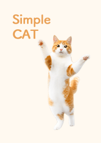 Simple CAT | 茶白猫・ベージュブラウン
