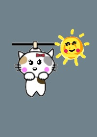 Laundry cat.Blue gray.single vr
