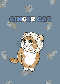 gingercat10 / denim .jp
