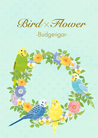 Bird x Flower -Budgerigars-