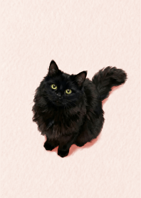 Black Cat Soft Red theme