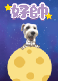 林好帥