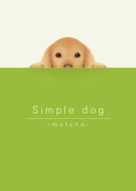 simple dog/matcha green
