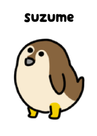 Cute sparrow Theme