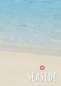 海濱 花'藍色'