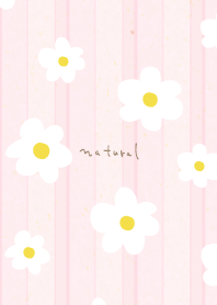 White flower adult stripe5 from Japan