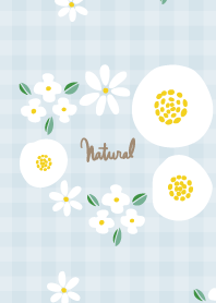 Fashionable white flowers2 from Japan