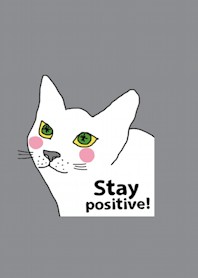 Happy Cat, Stay Positive.