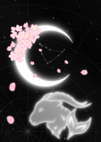 新月-摩羯座-