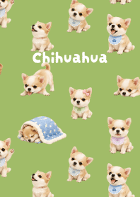 I love Chihuahuas01 moss green