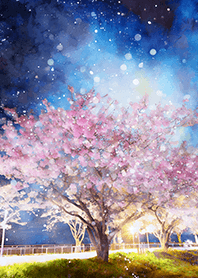 Beautiful night cherry blossoms#1862