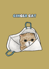 gingercat7 / ginger