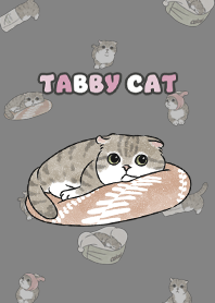 tabbycat10 / dark grey