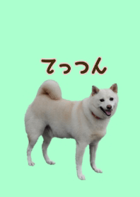 tetsu