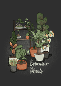 Expensive Plants