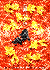 Goldfish of money luck Lucky number 68