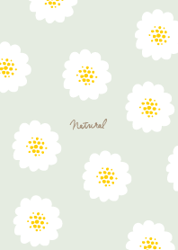 Flower Adult Fashionable17 from Japan