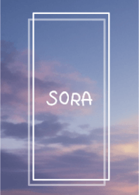 SORA vol.310