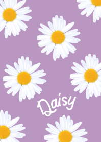 Daisy_POP Purple